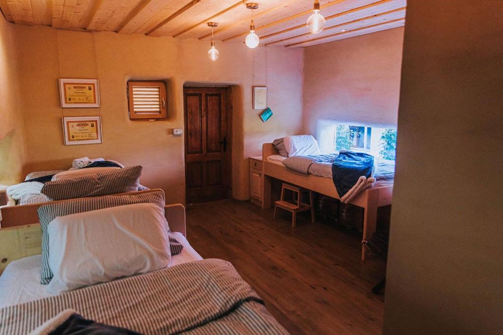 Sleeping With Bees - Tourist Farm Muha Apartment Grosuplje Exterior foto