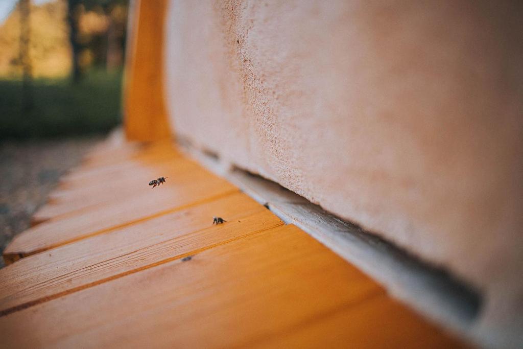 Sleeping With Bees - Tourist Farm Muha Apartment Grosuplje Exterior foto